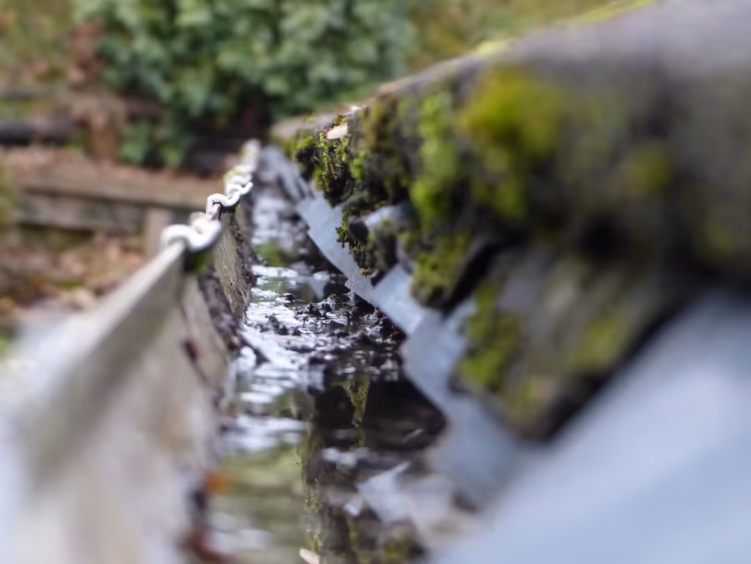 Mit Moos verstopfte Regenrinne als Hinweis auf fehlende Dachwartung und Entwässerungsprobleme.